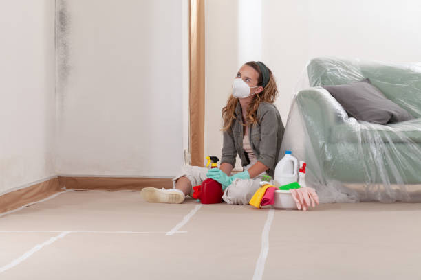 Reliable Mold Inspection And Testing contractor in Mesa, AZ by Car Mold Remediation